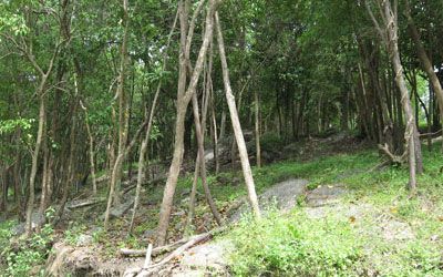 Koh Samui property for sale